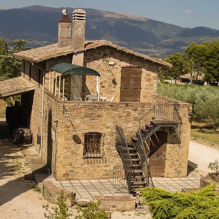 Country House Carmelita Limigiano ภายนอก รูปภาพ