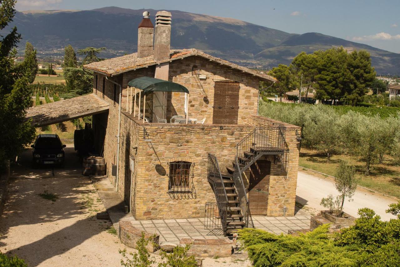 Country House Carmelita Limigiano ภายนอก รูปภาพ