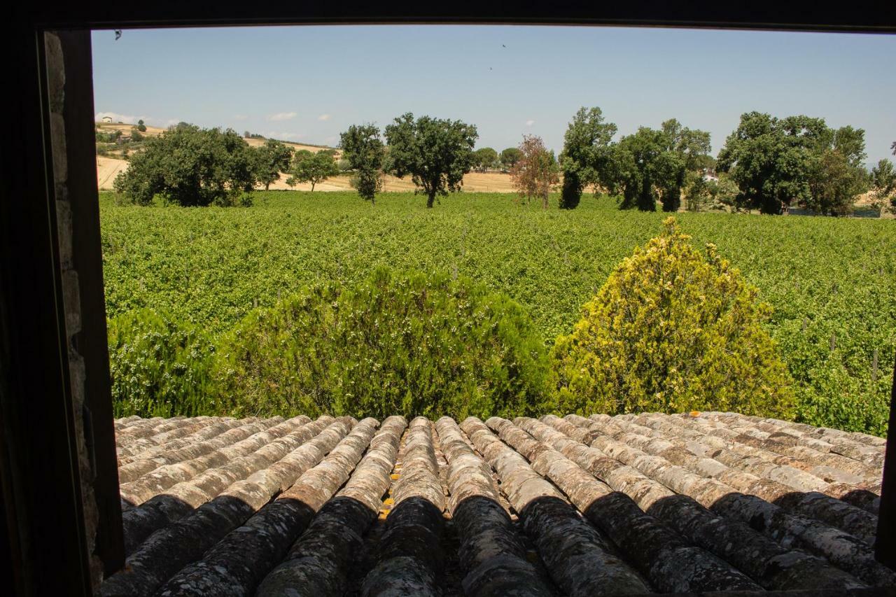 Country House Carmelita Limigiano ภายนอก รูปภาพ